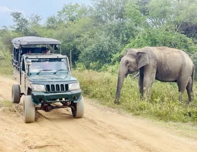 Mahindra Bolero safari jeep